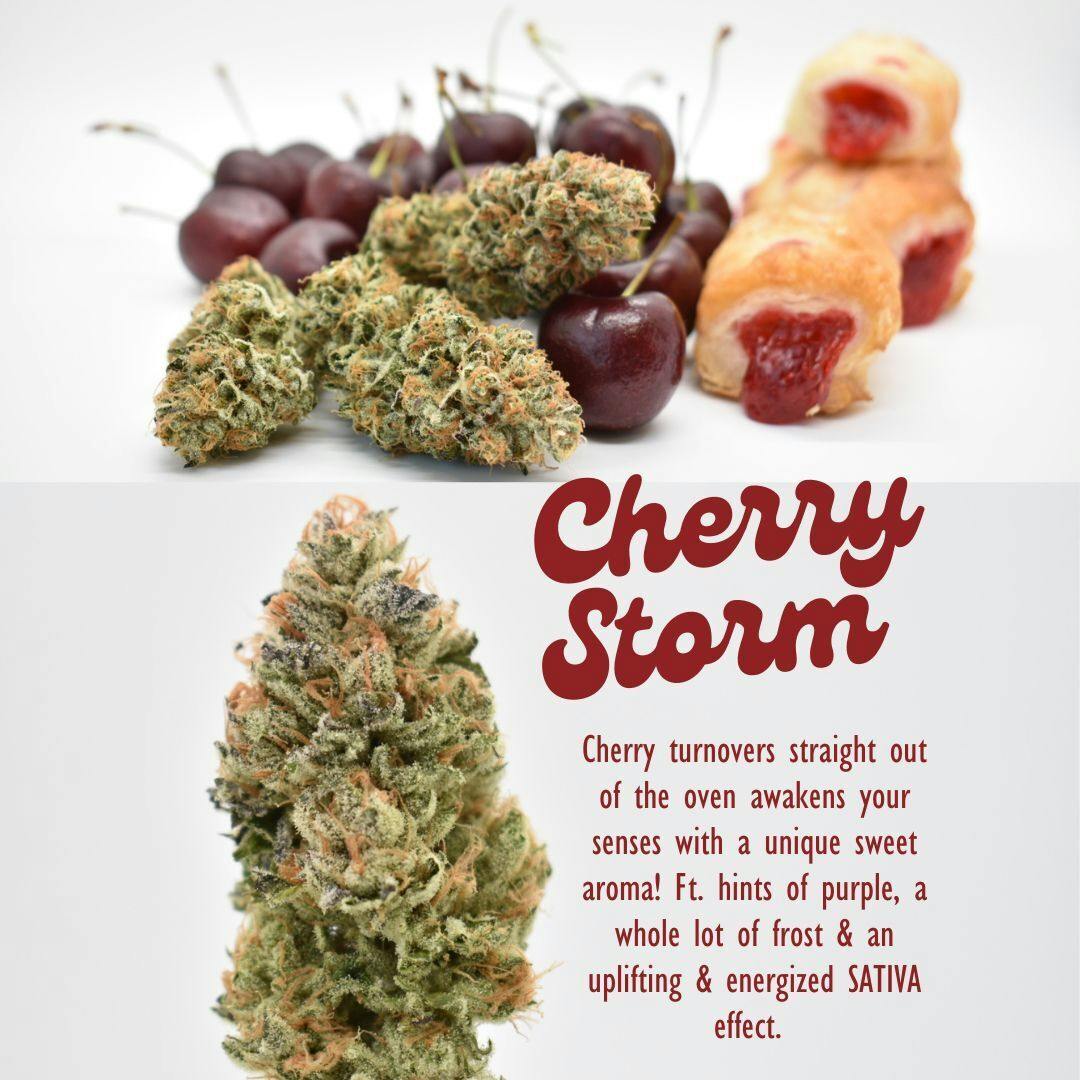 Cherry Storm Flower (SH) Cherry Blizzard x Riff Tree - The Hash Frontier (In-House Living Soil)