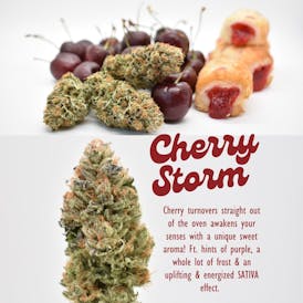 Cherry Storm Flower (SH) - The Hash Frontier