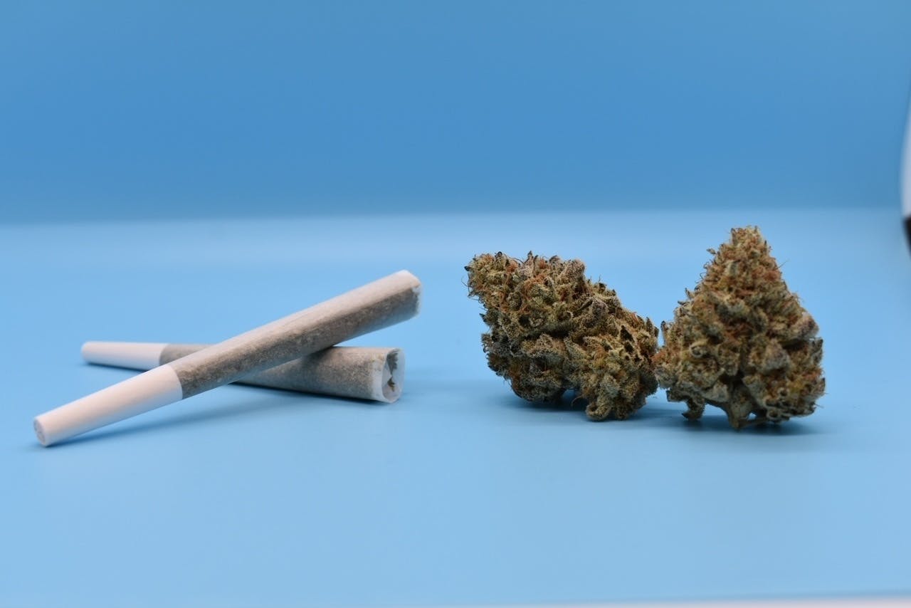 Purple Starburst #8 (H) - 1g Prerolls - The Hash Frontier