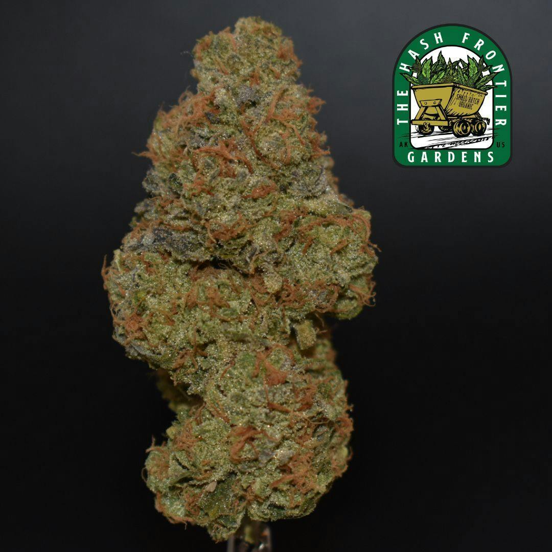 Toazt #3 (IH) Flower (Stuffed French Toast x Zuchi) - The Hash Frontier (In-House Living Soil)