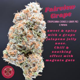 Fairview Grape Flower - Ind. Hybrid (Tropicanna Cookies X Grape Pie x Papaya) by The Hash Frontier
