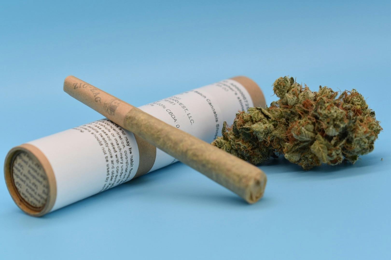 Mendo Grapes (I) .5g Preroll **$4 Joint** - Greensleeves Genetics
