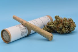 Guava Cream #4 (H) - 1g Prerolls - The Hash Frontier *JULY SPECIAL NO DISCOUNTS*