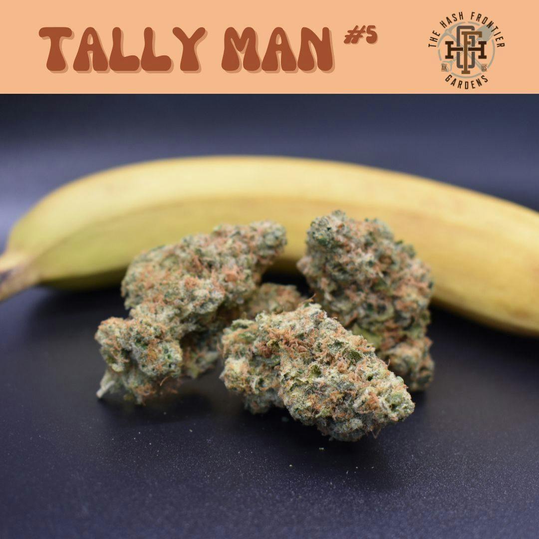 Tally Mon #5 | 1g