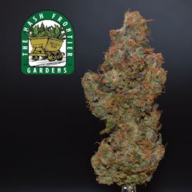 Momochi #1 (IH) Flower Deli-Style - The Hash Frontier