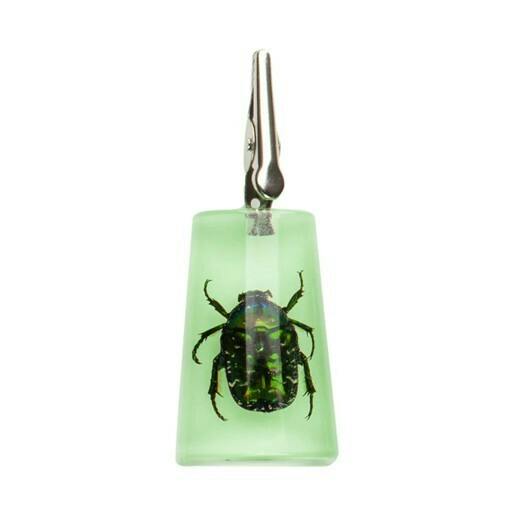 CREATURE Glow-in-the-Dark Stand-Up Chafer Roach Clip