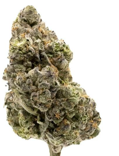FIGR Midnight Sherb 28g