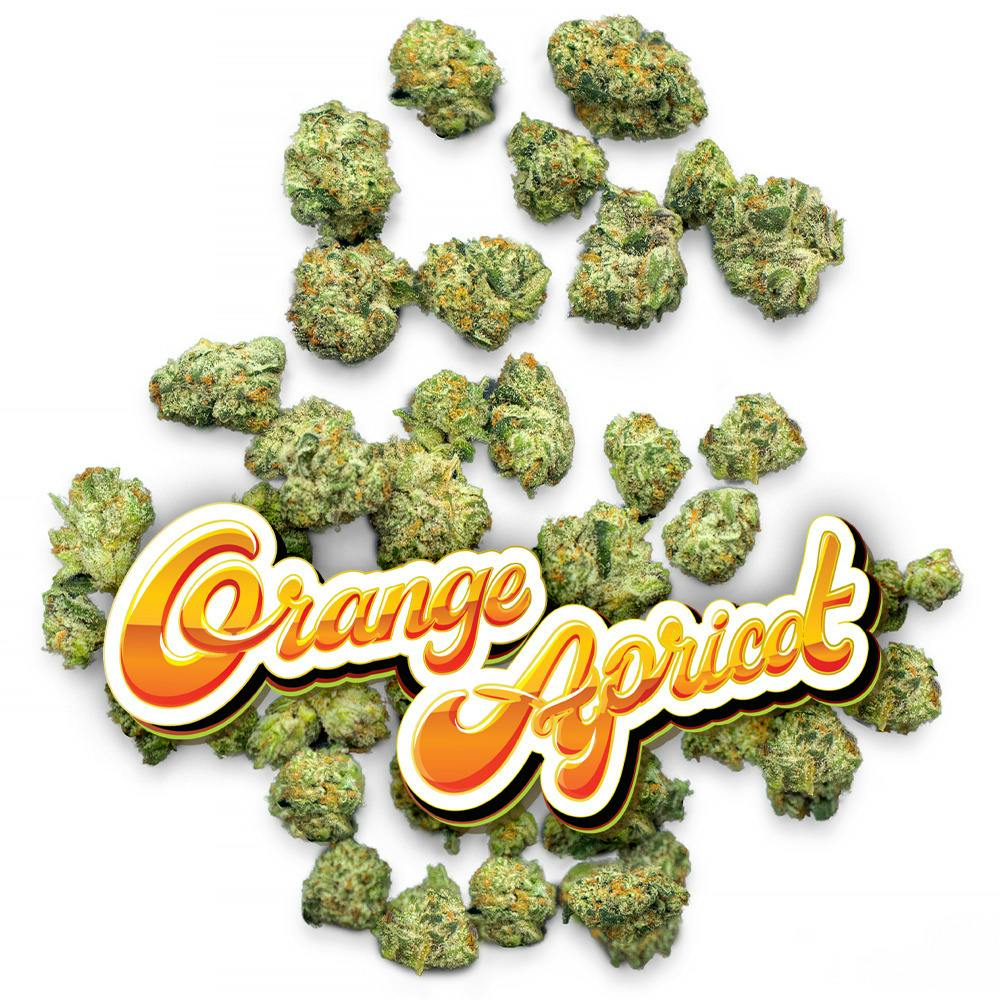 Orange Apricot - 1/4 oz Pops