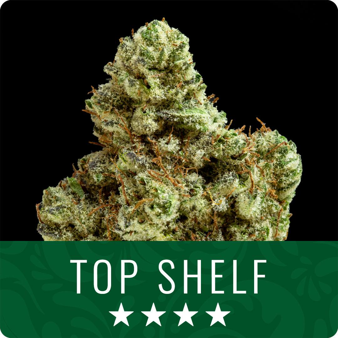 Top Shelf Animal Gelato