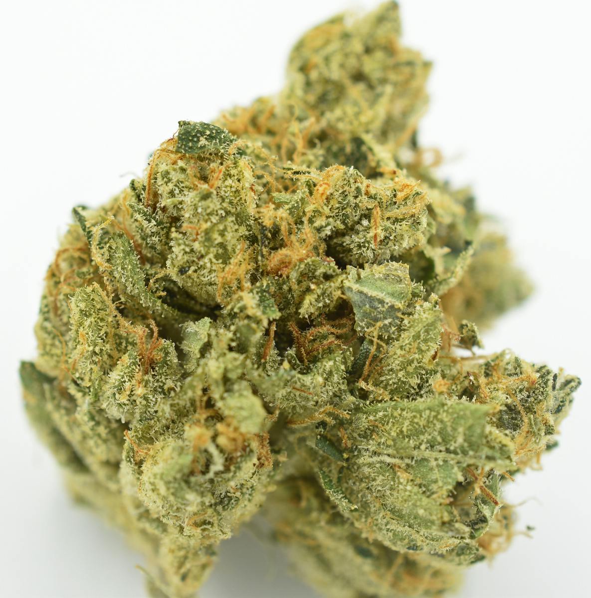 SOUR BAND - 3.5G