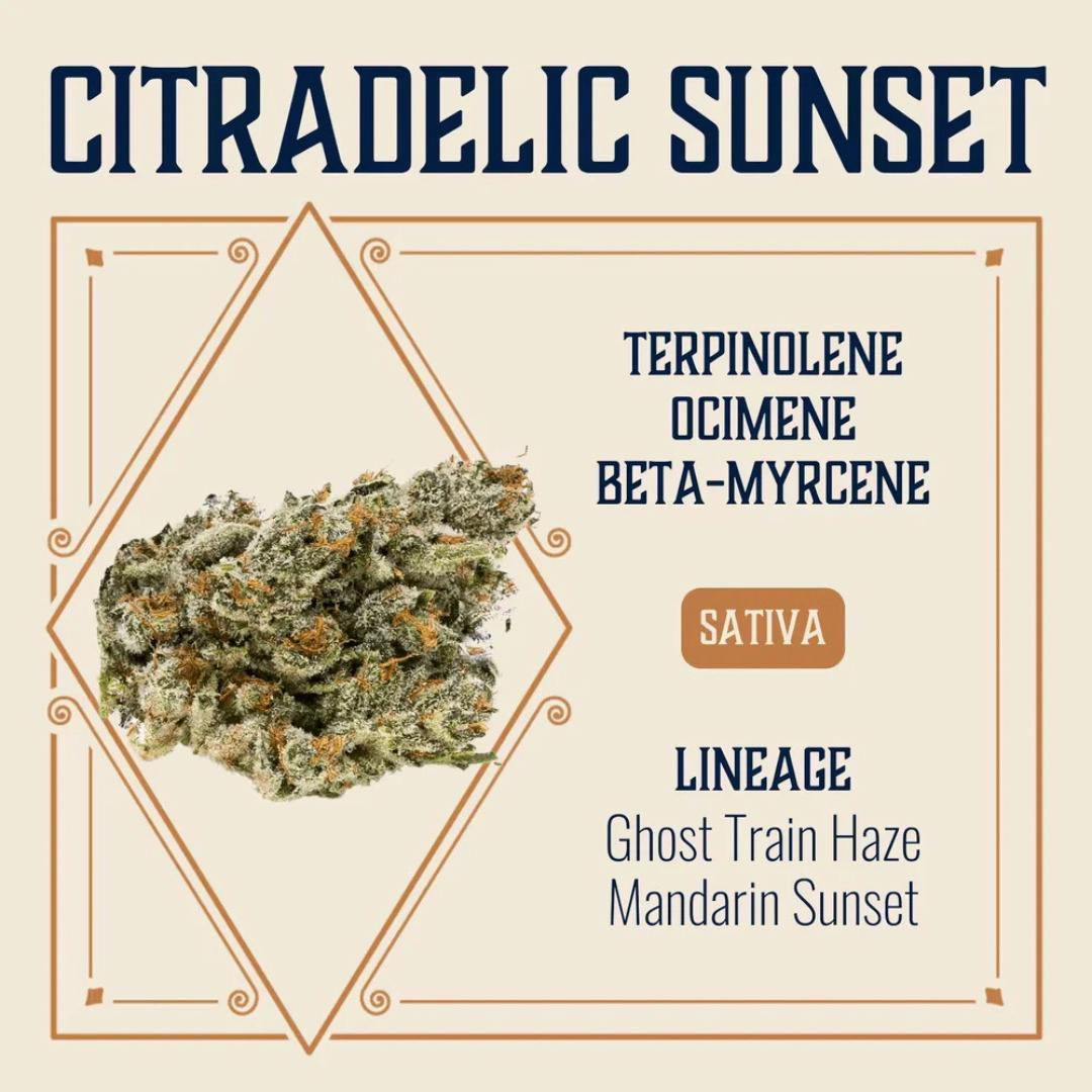 Citradelic Sunset Whole Flower