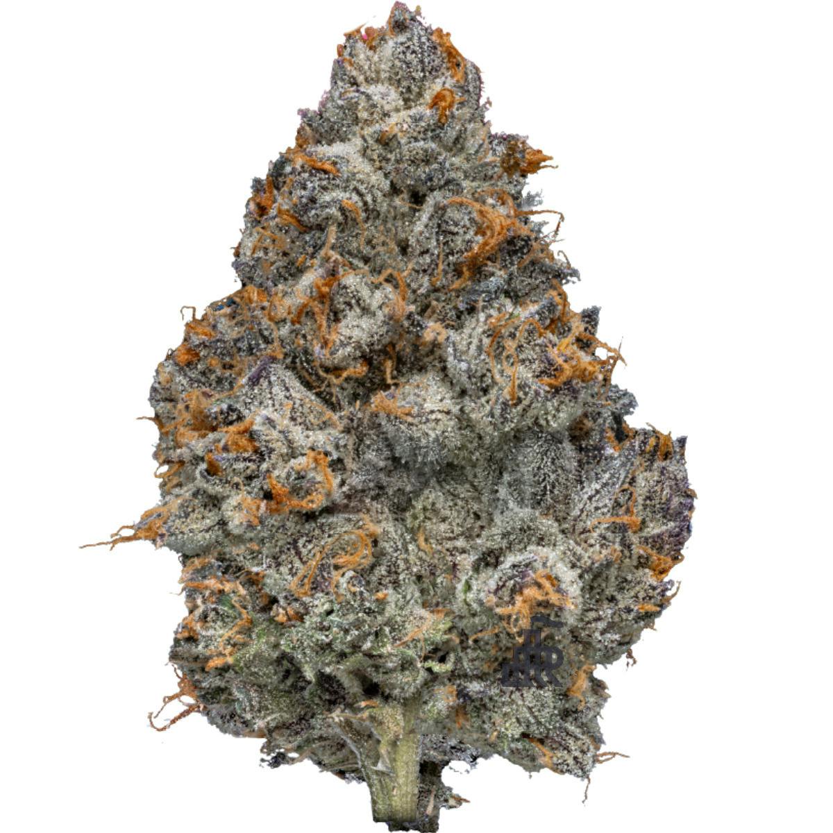BLUE NERDZ (SMALLS) | DELI | TIER FOUR