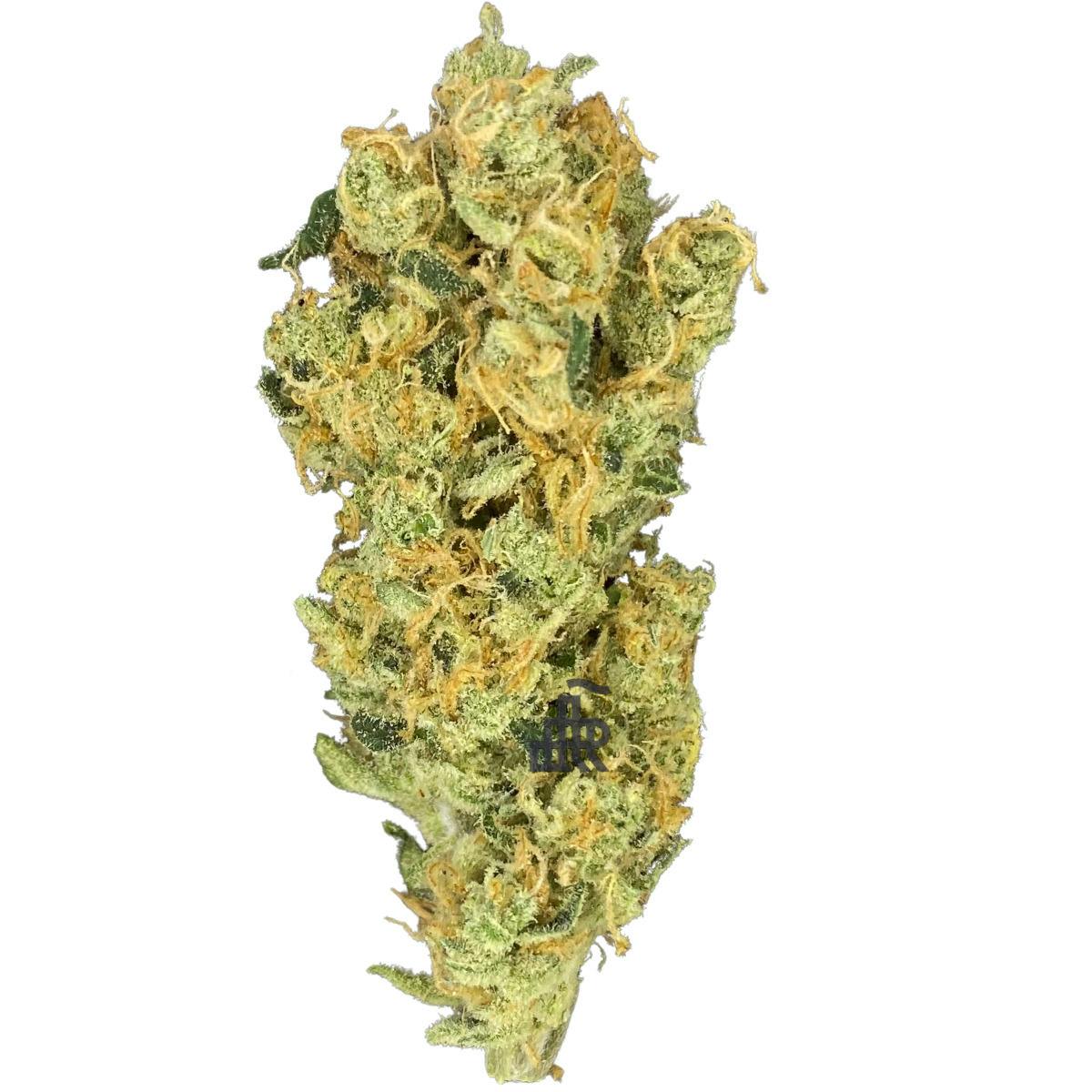 HONEY BANANA | DELI | TIER SEVEN