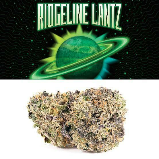 RIDGELINE LANTZ | DELI | TIER SEVEN cannabis product