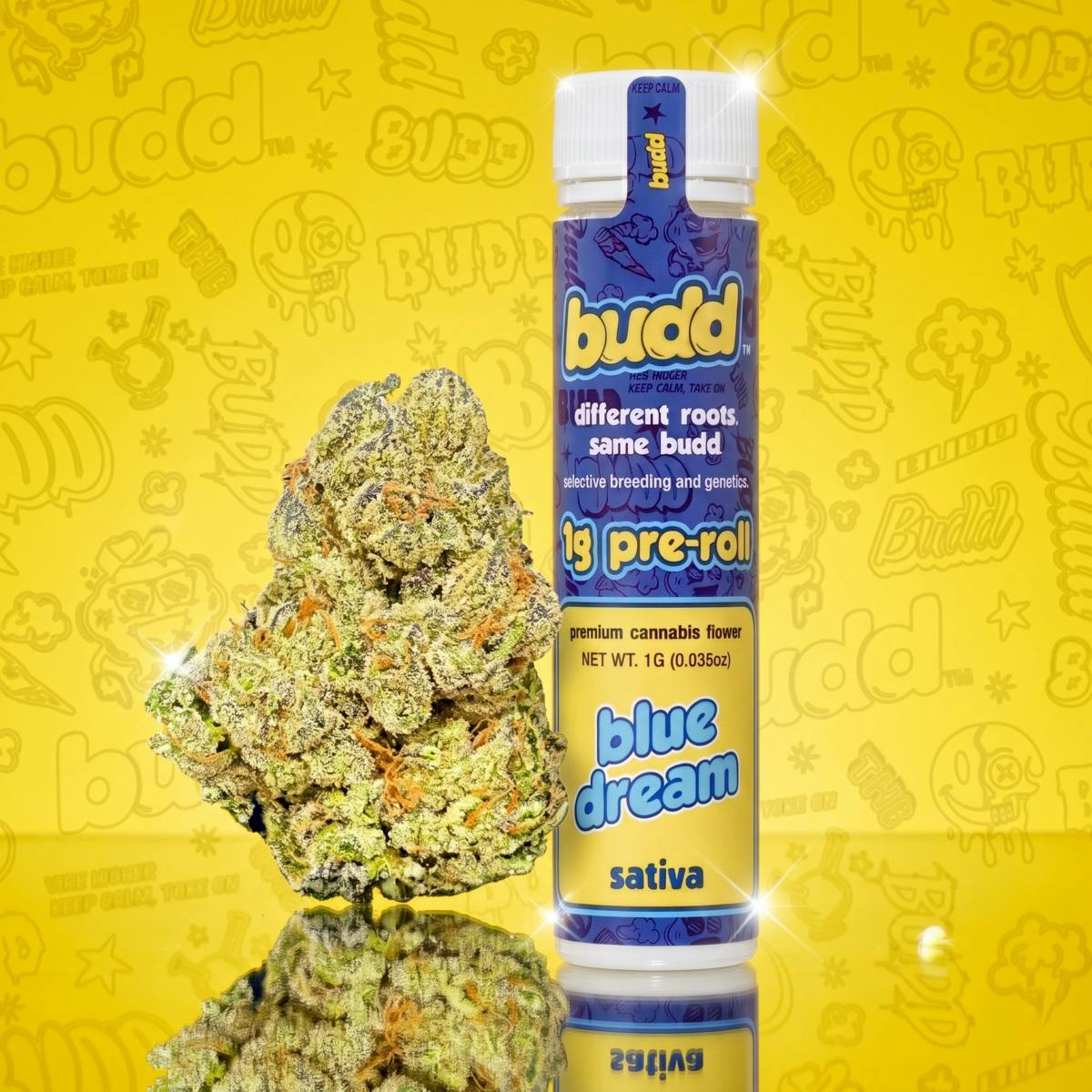 Budd Blue Dream