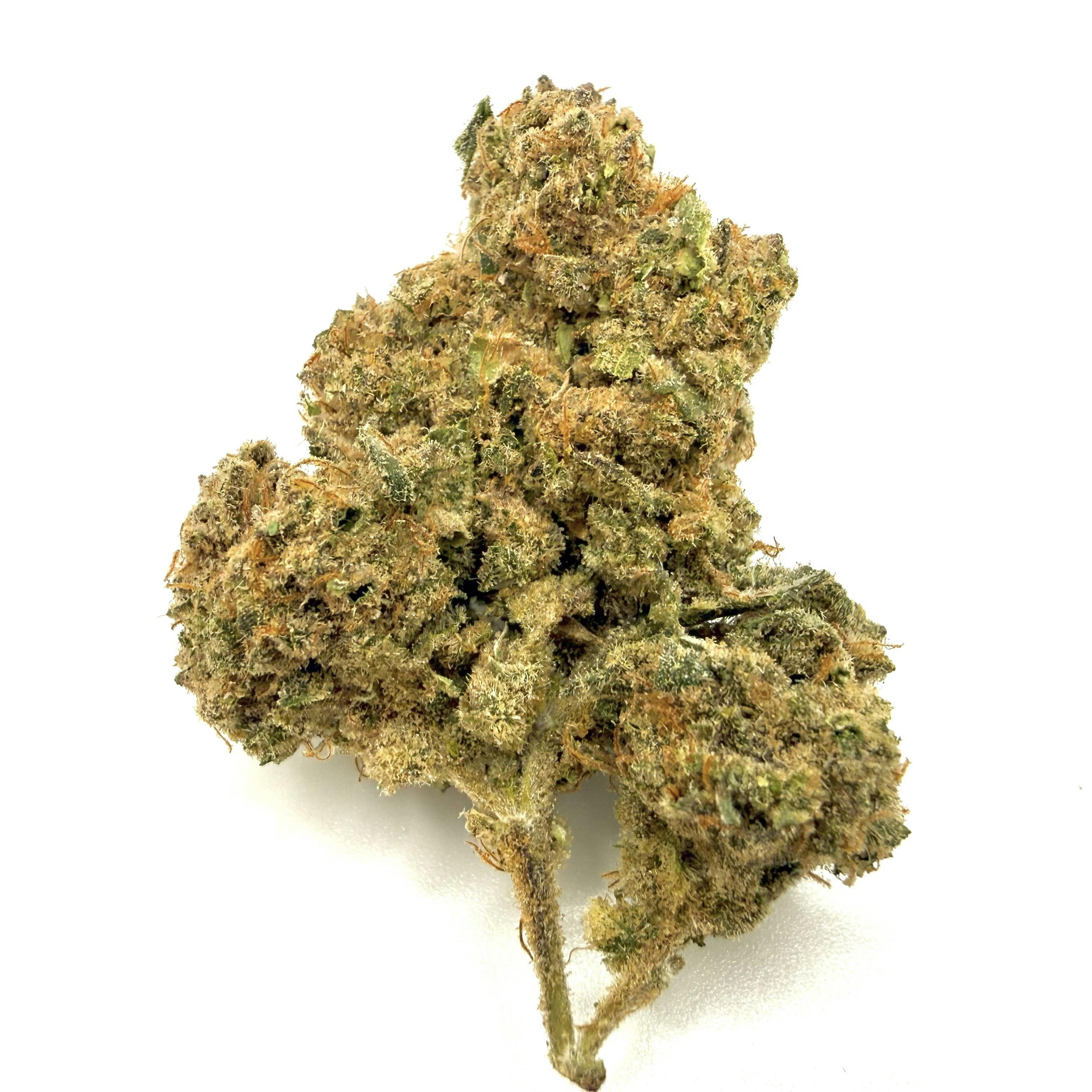 Pucker Up Flower | Hybrid | Mid Shelf | Mainely Rooted at Kind Acres Farm (Medical)