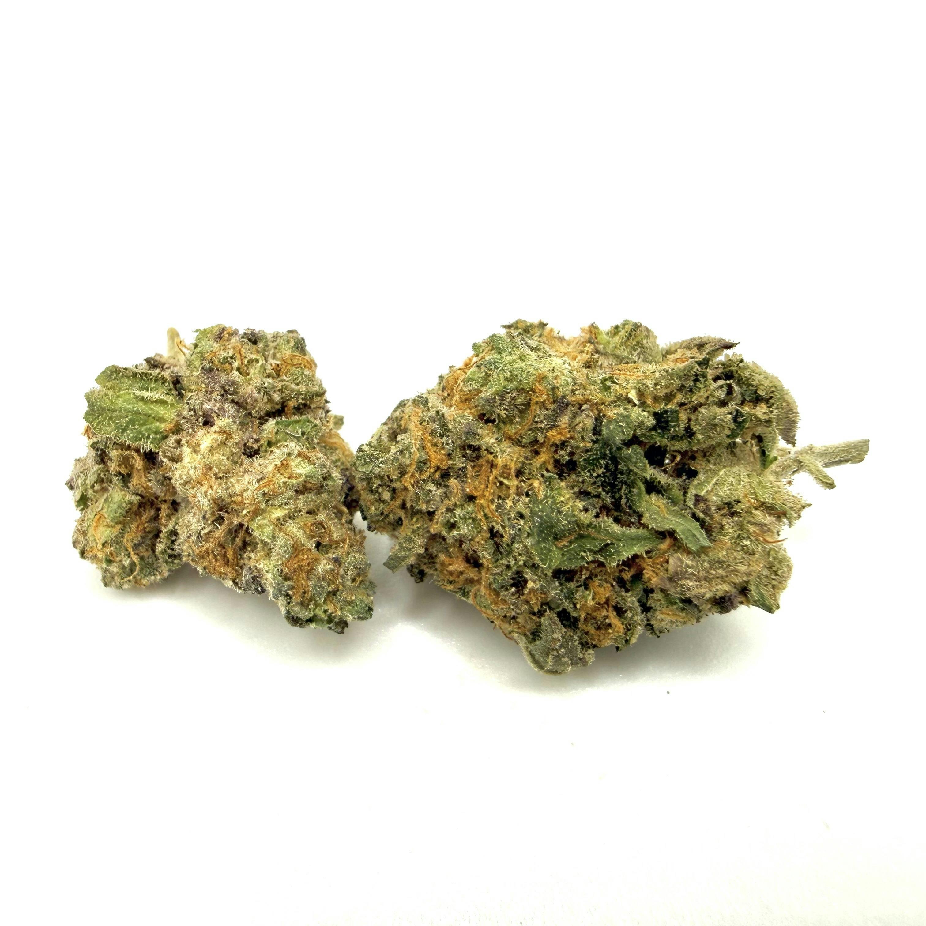 Gary Satan Flower | Smalls | Hybrid | KAF at Kind Acres Farm (Medical)
