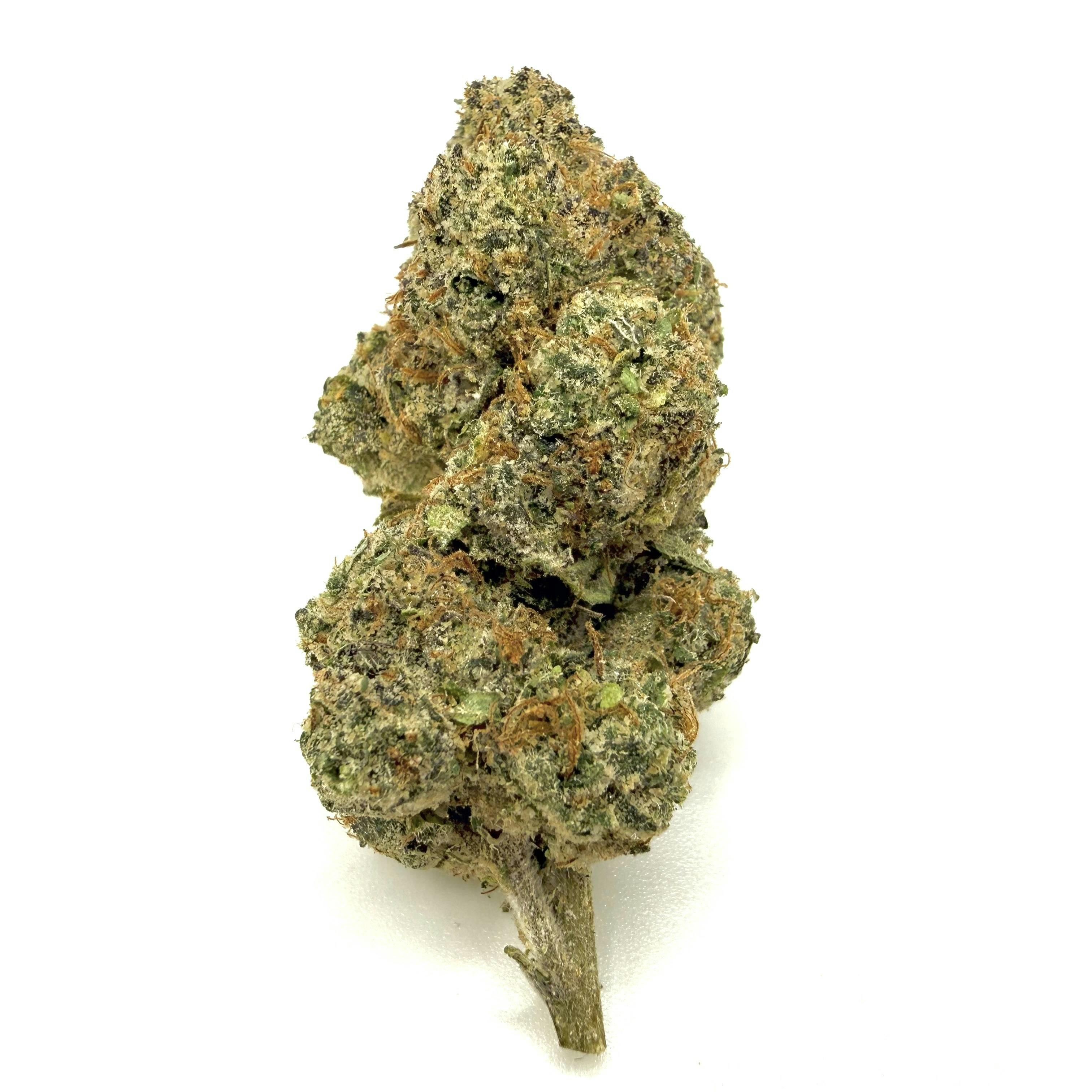 Gelato Flower | Hybrid | Mid Shelf | Mainely Rooted at Kind Acres Farm (Medical)