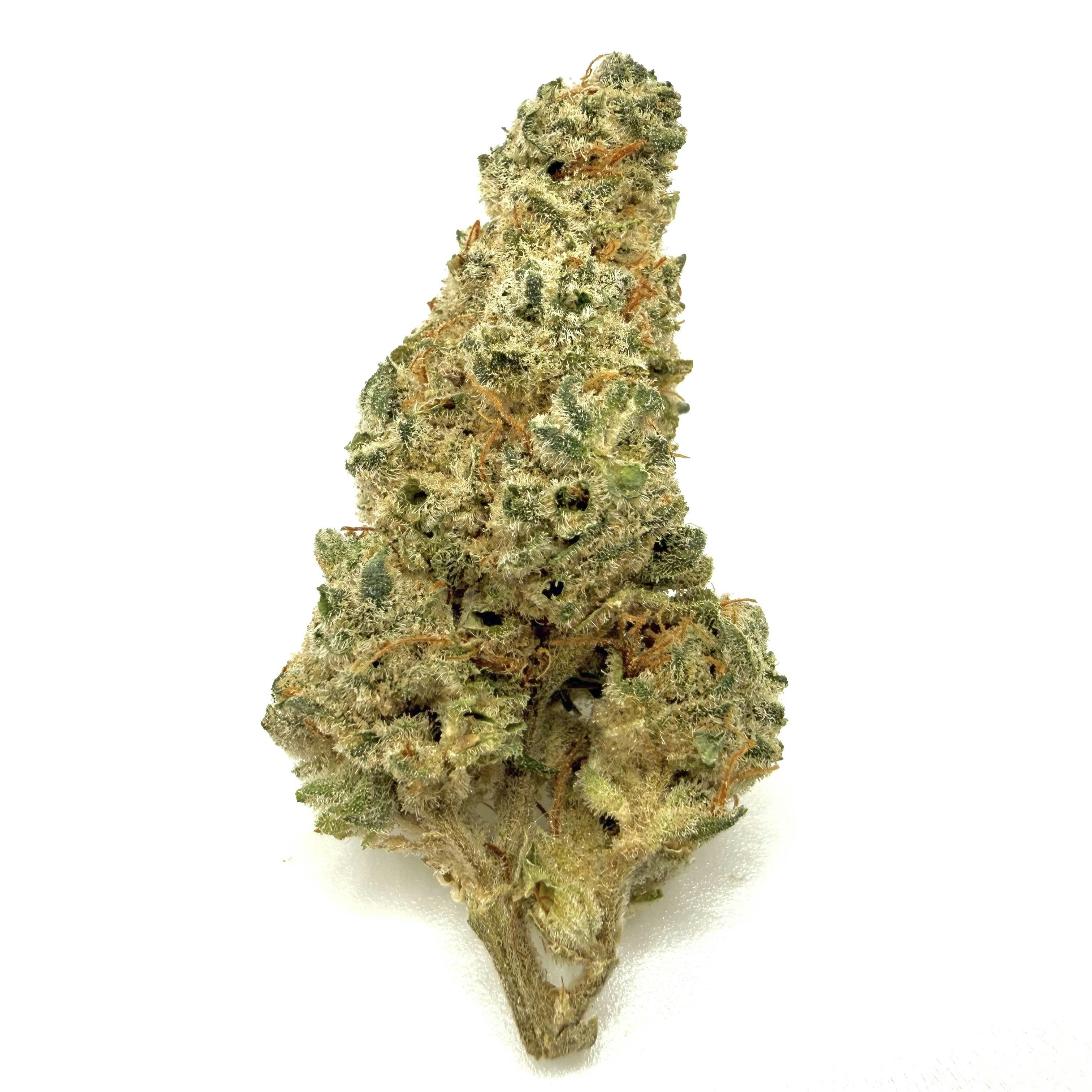 Mac #9 | 1g at Kind Acres Farm (Medical)