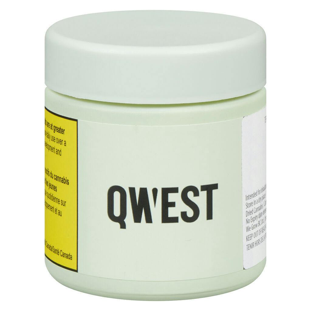 Qwest - Terpee Slerpee - Indica - 3.5g