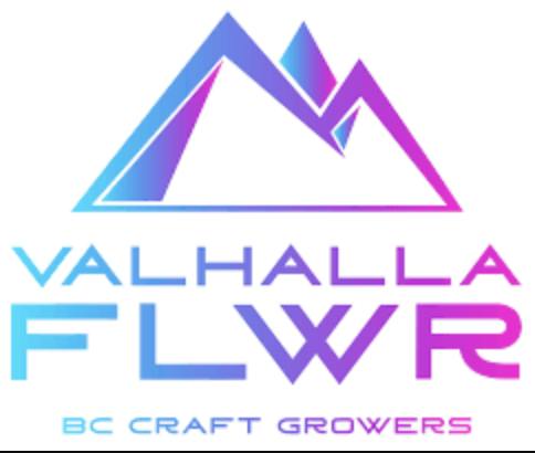 Valhalla Flwr - Pebble Punch Pre Rolls 3 x 0.5g