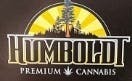 Humboldt Flower - Bubble Belts — 1 gram