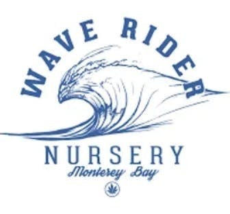 Wave Rider - Double Dream — 1 gram