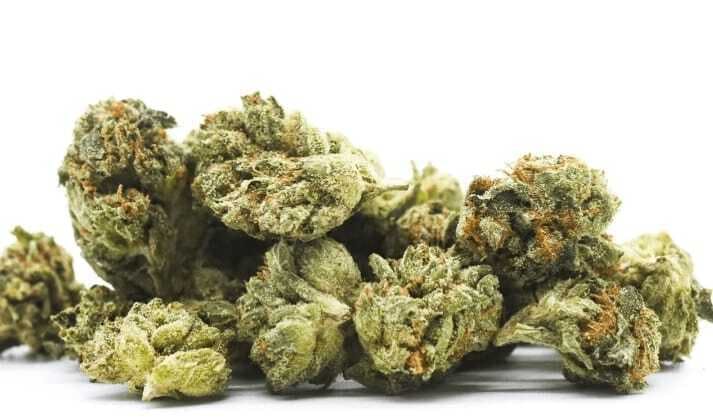 Caviar Gold - Monster Cookies — Moonrock