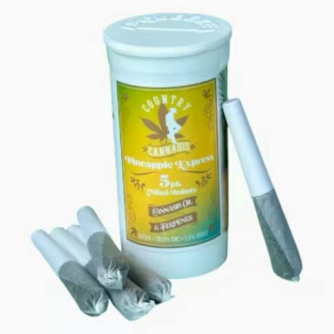 Country cannabis - Infused Pre-Roll 5 Pack - Grape Og - 2.5 g