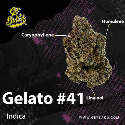 Gelato #41 - 3.5g Units