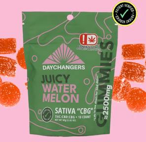 Day Changers - 2500mg (Juicy Watermelon)