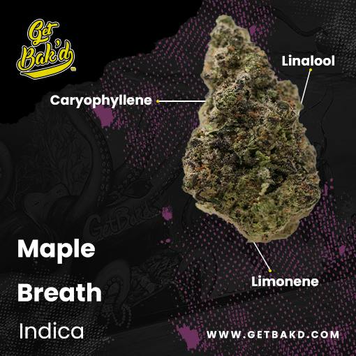 Maple Breath 3.5g Units