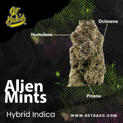 Alien Mints - 3.5g Units