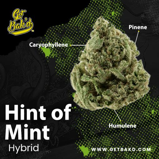 Hint of Mint - 3.5g Units
