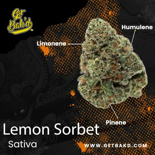 Lemon Sorbet 3.5G (UNITS)