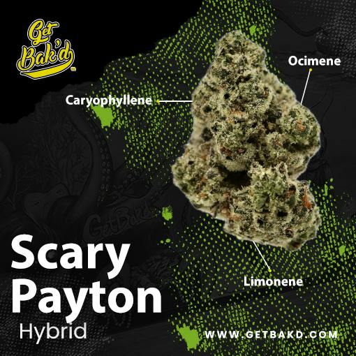 Scary Payton 3.5g Units
