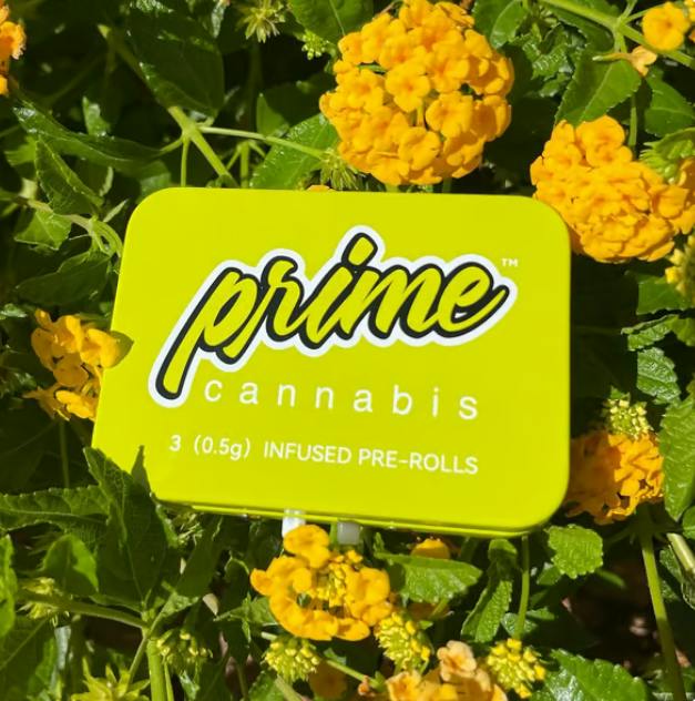 Prime Cannabis Razzle Dazzle Infused Pre-Roll Pack 0.5g ea | 3-Pack