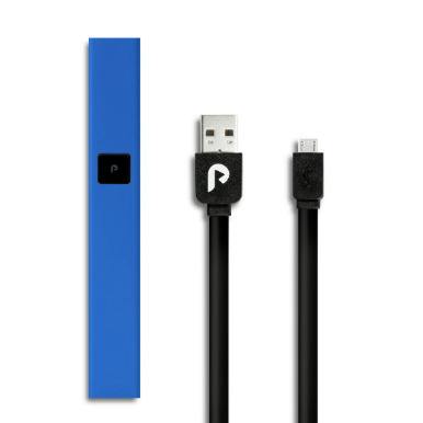 PLUGPLAY Battery Blue Steel