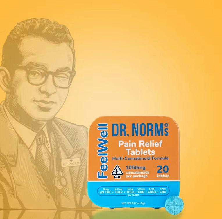 Dr. Norm's Feel Well Pain Relief Tablets 20pk 1050mg