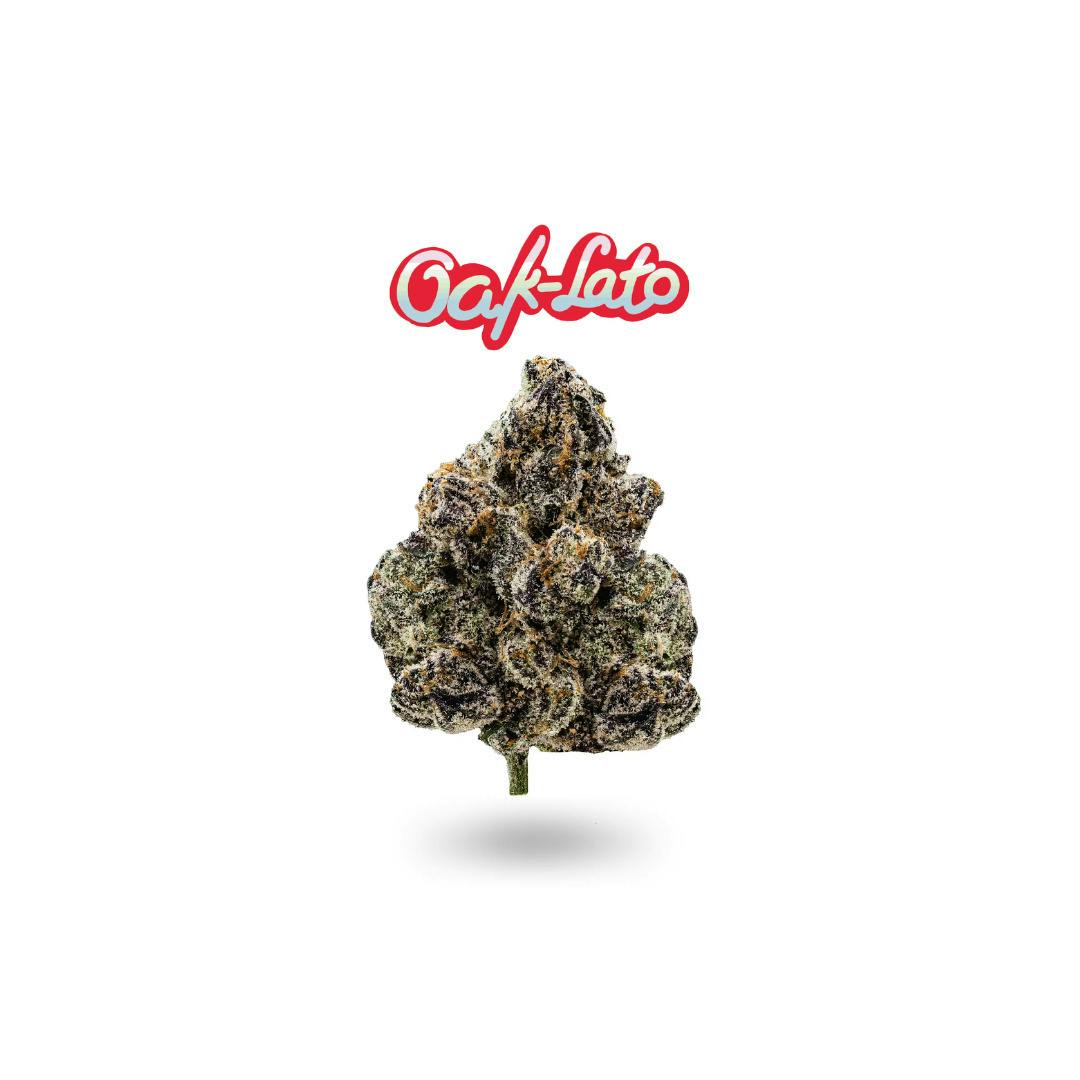 Oak-Lato | Big Buds | 7g