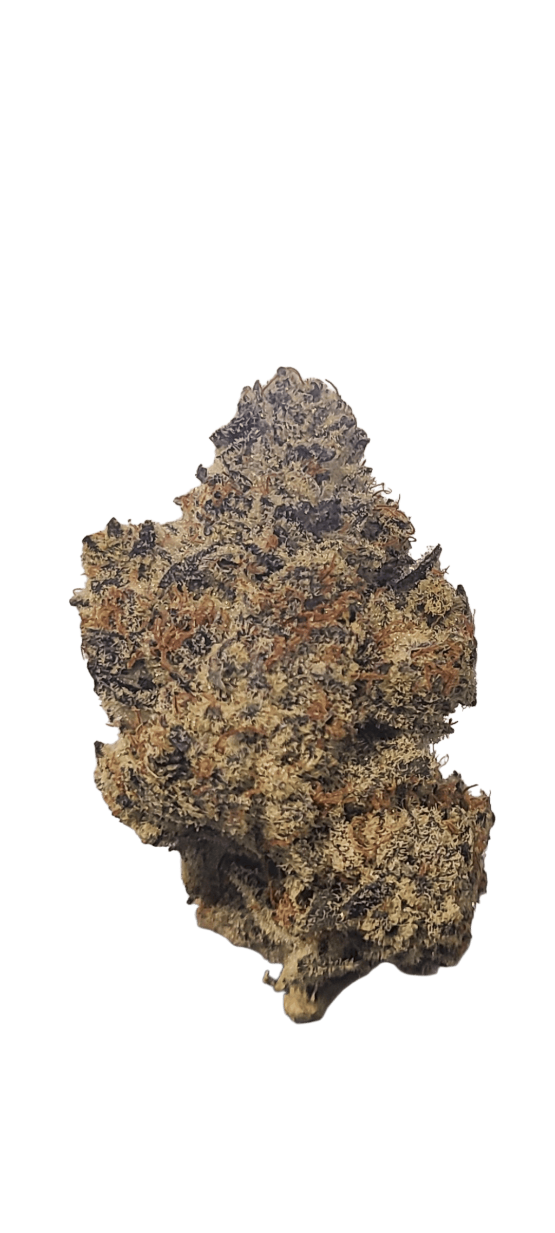 Cannexa-Space Queen 3.5 g at Green Box Cannabis