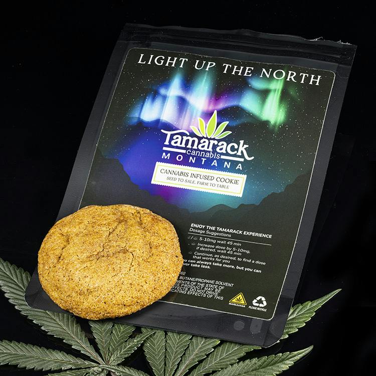Iced Pumpkin Cookie
