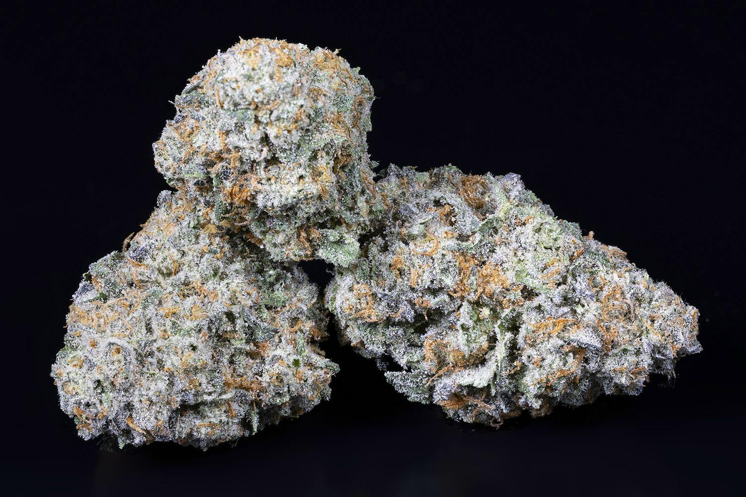 Tamarack | A Bud Bulk Flower - Banana Zoap