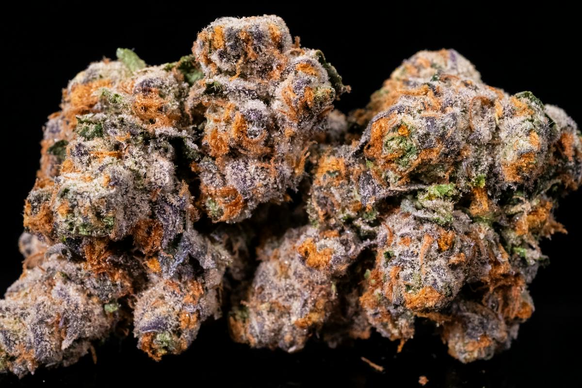 Gucci Fruit