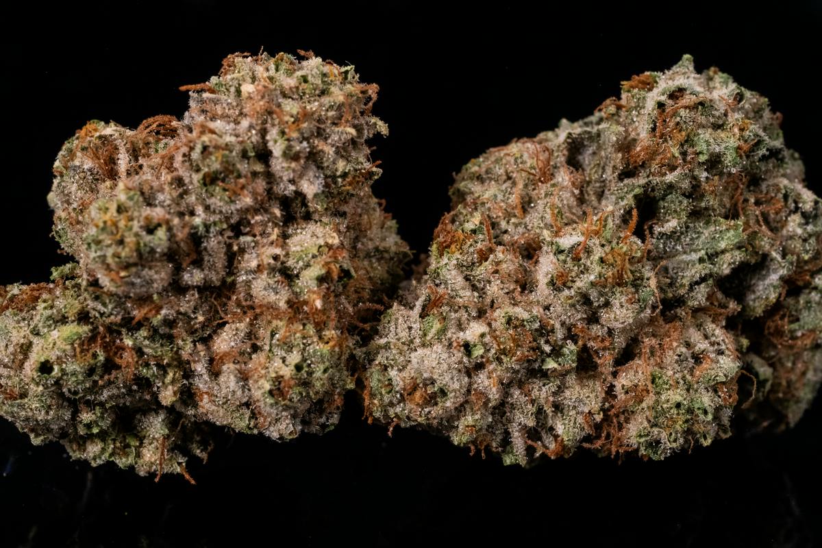 Black Triangle Kush