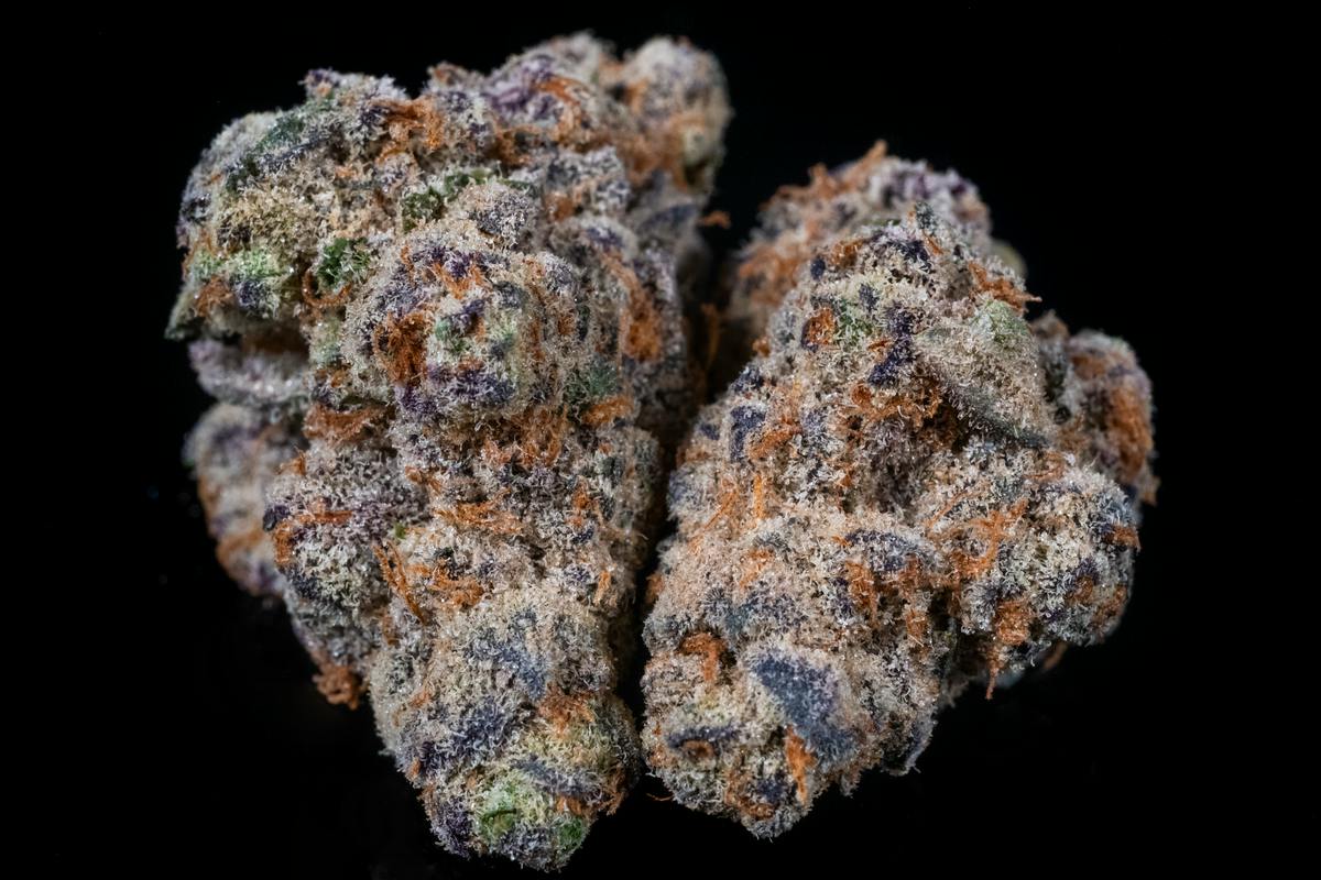 Glitter Bomb