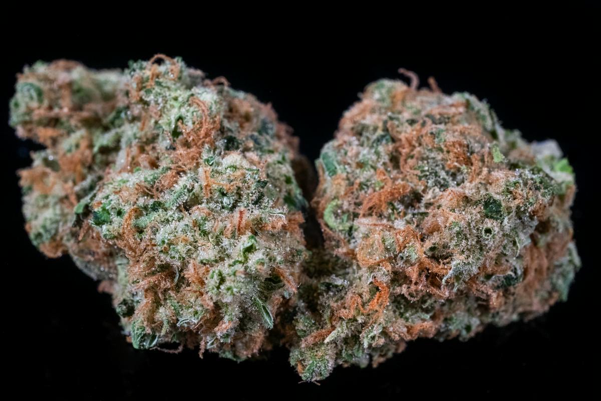 Golden Lemons