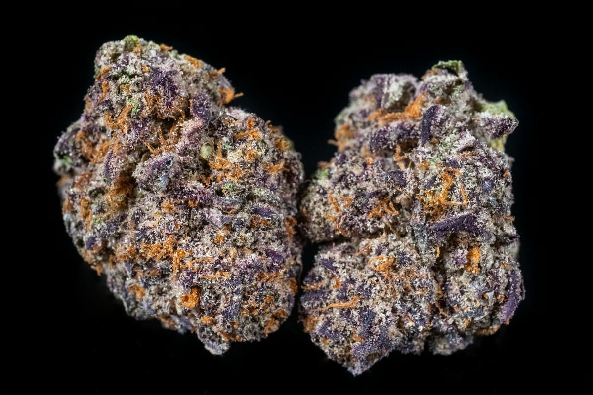 Candy Creamsicle