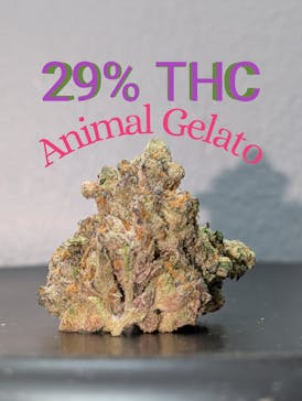 Animal Gelato ($6/g OTD)