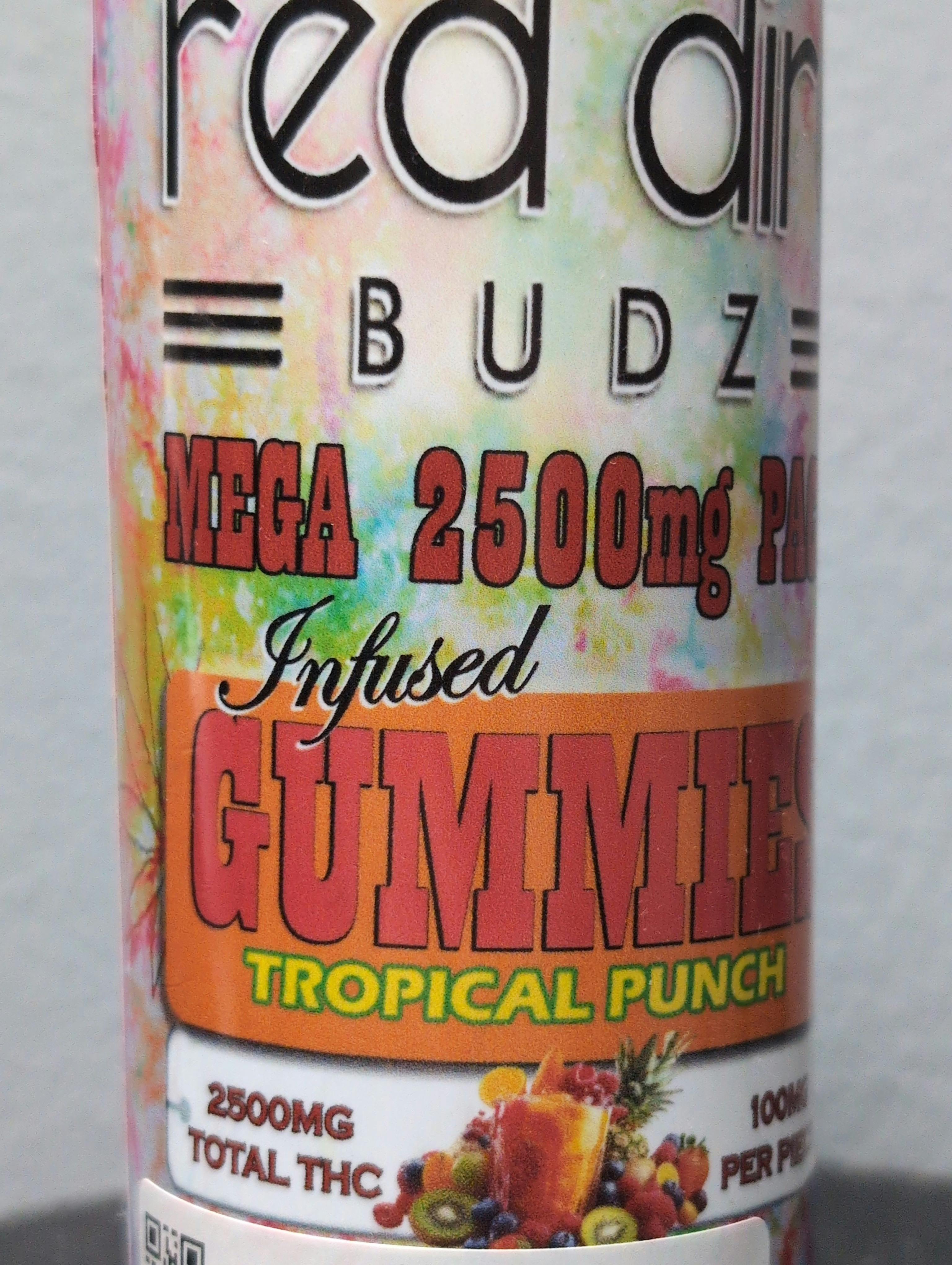 Tropical Punch Gummies | Gummies | 25pk | 2500mg/ea